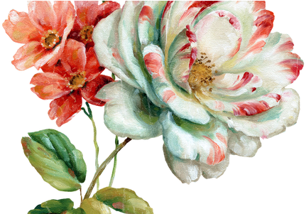 Water Paint Flowers K Pictures Full Hq - Creative Tops Romantic Garden Set Of 6 Premium Table (450x300), Png Download