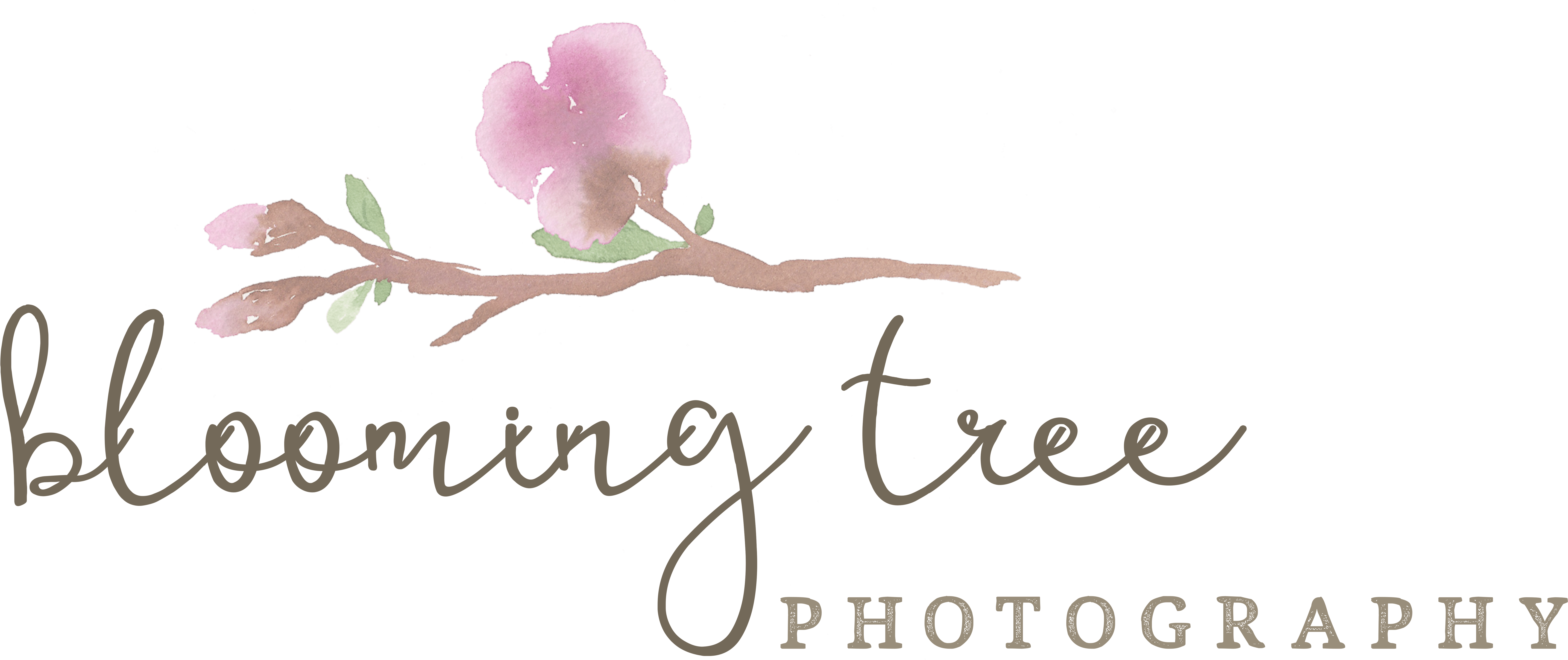 Watercolorlogo3 - Rosa Glauca (9000x4500), Png Download