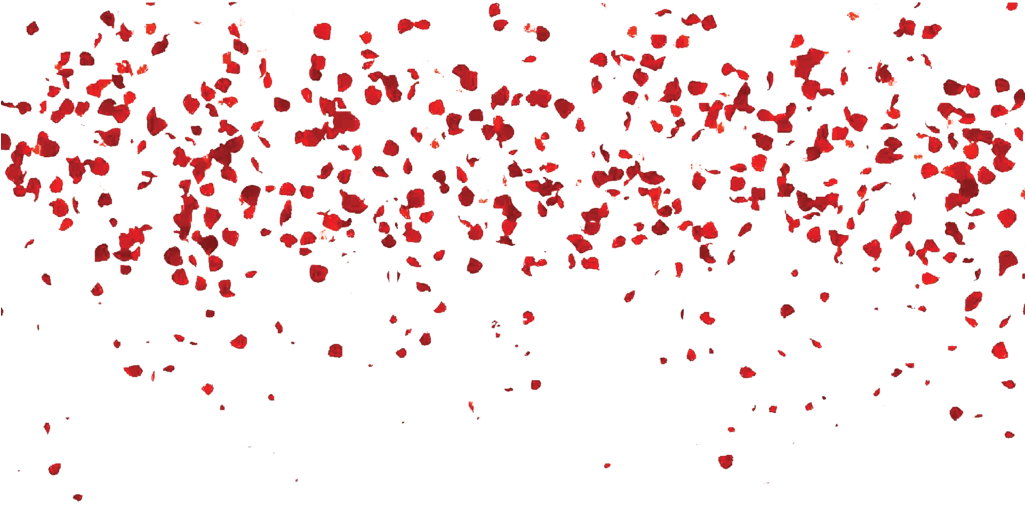 Falling Rose Leaves Png Transparent Free By Theartist100-d7mo1ff - Rose Petal Shower Png (1024x576), Png Download