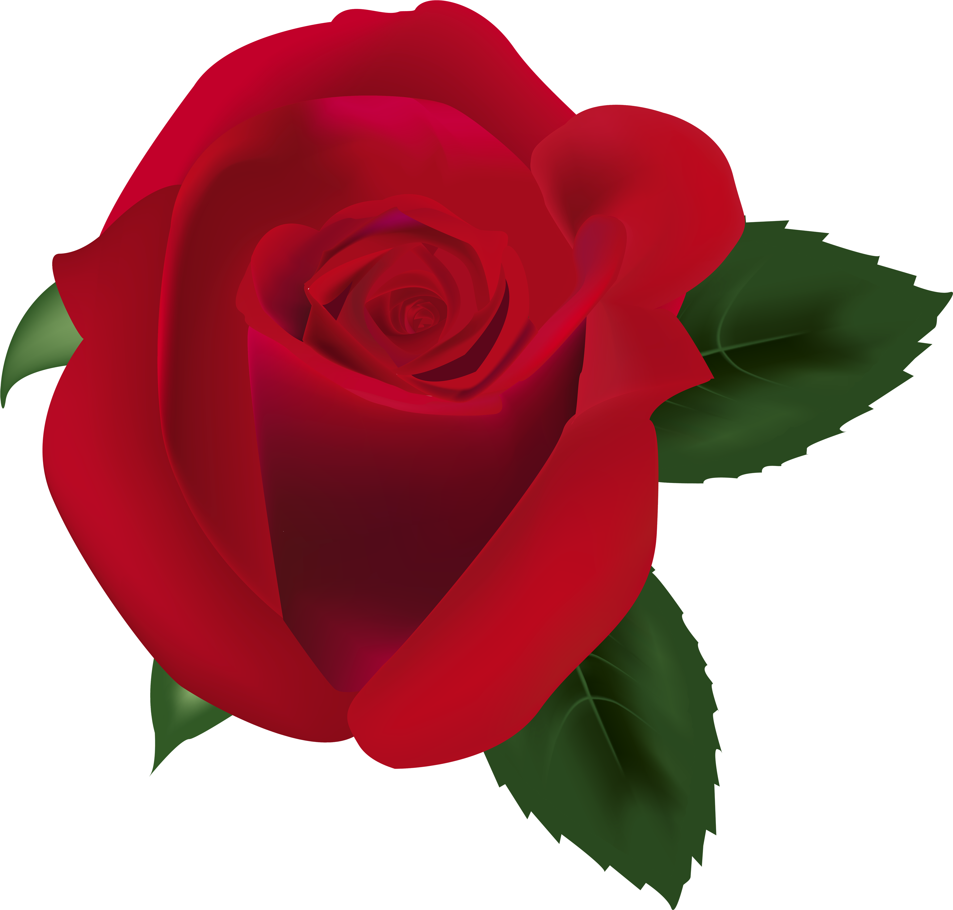 Red Rose Png Clipart Image - Garden Roses (4000x3858), Png Download