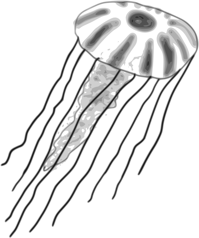 Watercolor Jellyfish Clipart Illustrations Creative - Box Jellyfish Clipart (727x800), Png Download