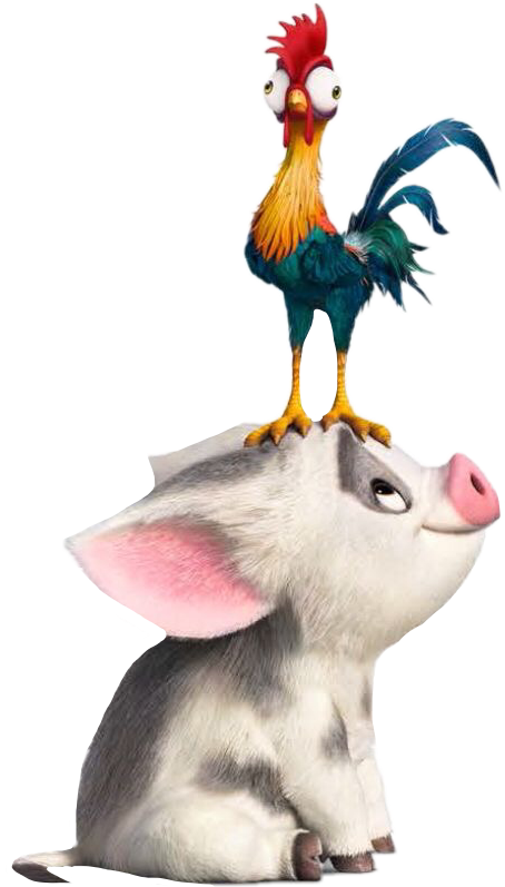 Hei Hei The Rooster Moana The Walt Disney Company Film - Moana Pua And Hei Hei (454x797), Png Download