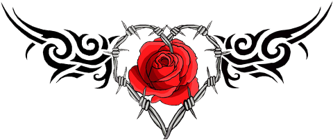 Rose Tattoo Png Image - Barb Wire Heart Tattoo (600x210), Png Download