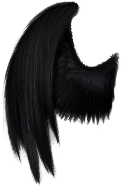 Black Angel Wings Png Picture - Black Angel Wings Png (600x600), Png Download
