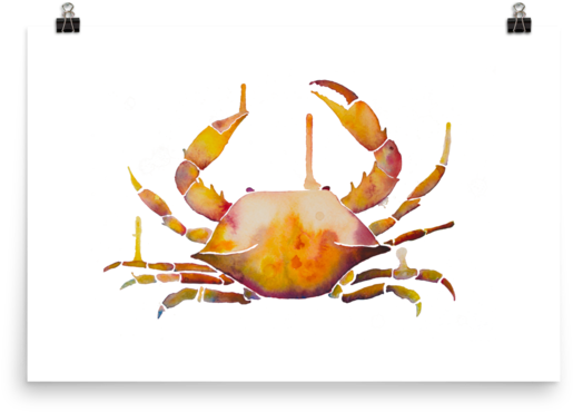 Crab (600x600), Png Download