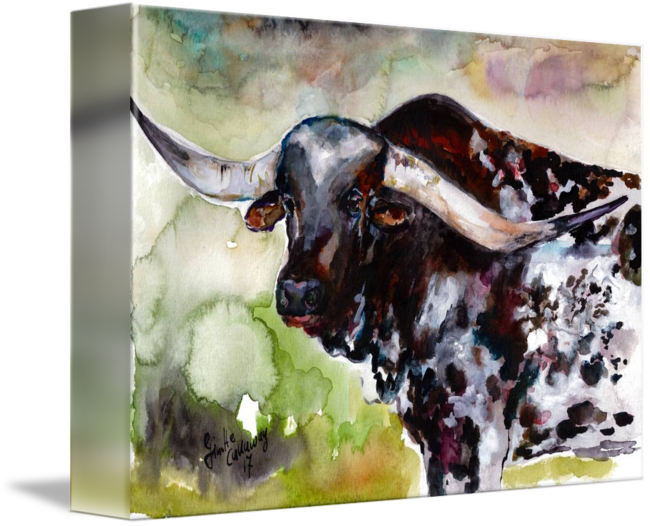 So Here Is A Stunning Portrait Of A - Texas Longhorn (650x526), Png Download