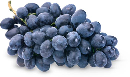 Black Grape Png Image Five - Tiered Fruit Basket Sorbus (561x307), Png Download
