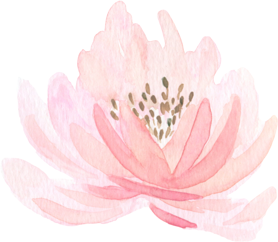 Lotus Png (1000x857), Png Download