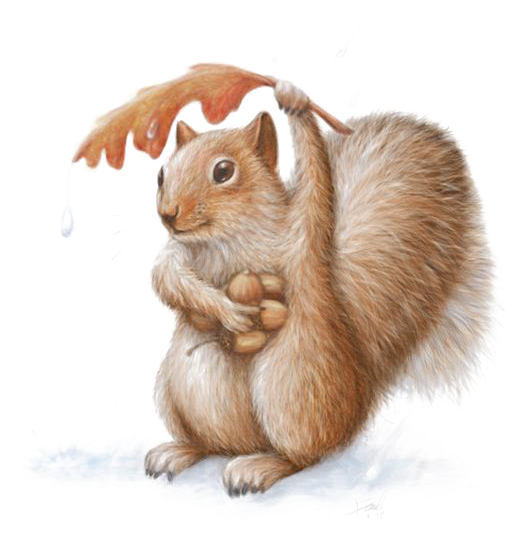 Squirrel Chipmunk Art Watercolor Painting Drawing - 10k Black Hills Gold Band Ring Rose (564x564), Png Download