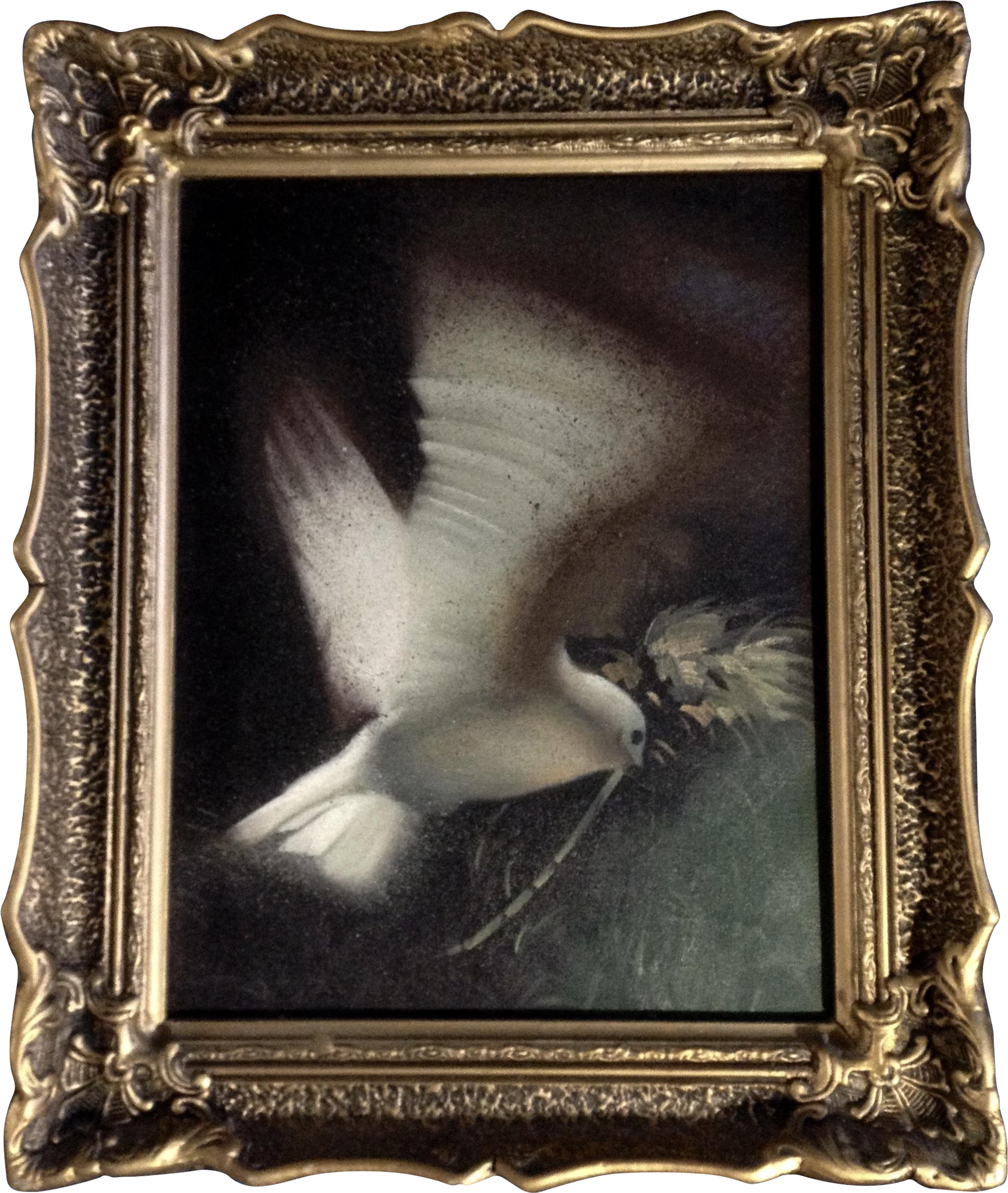 Gorgeous Peaceful Dove In Flight Oil Painting On Canvas - Pigeons And Doves (2048x2048), Png Download