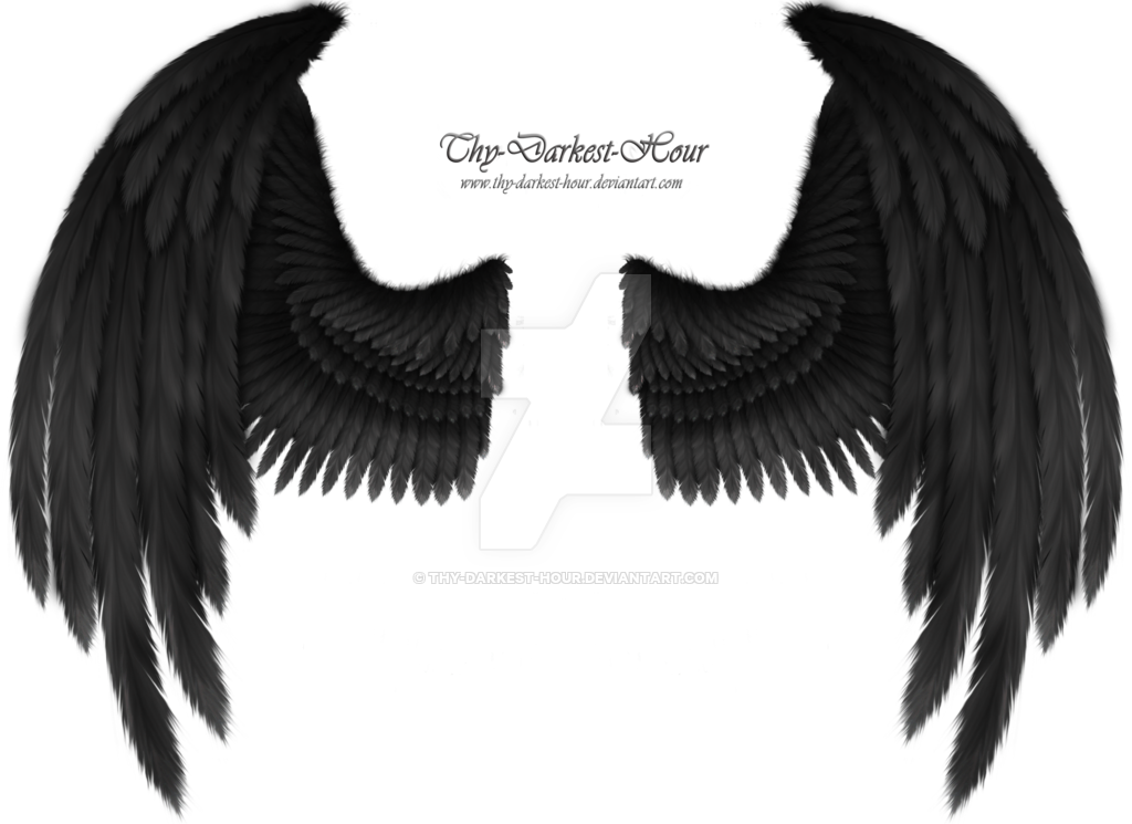 Crow Wings - Black Raven Wings Png (1024x745), Png Download