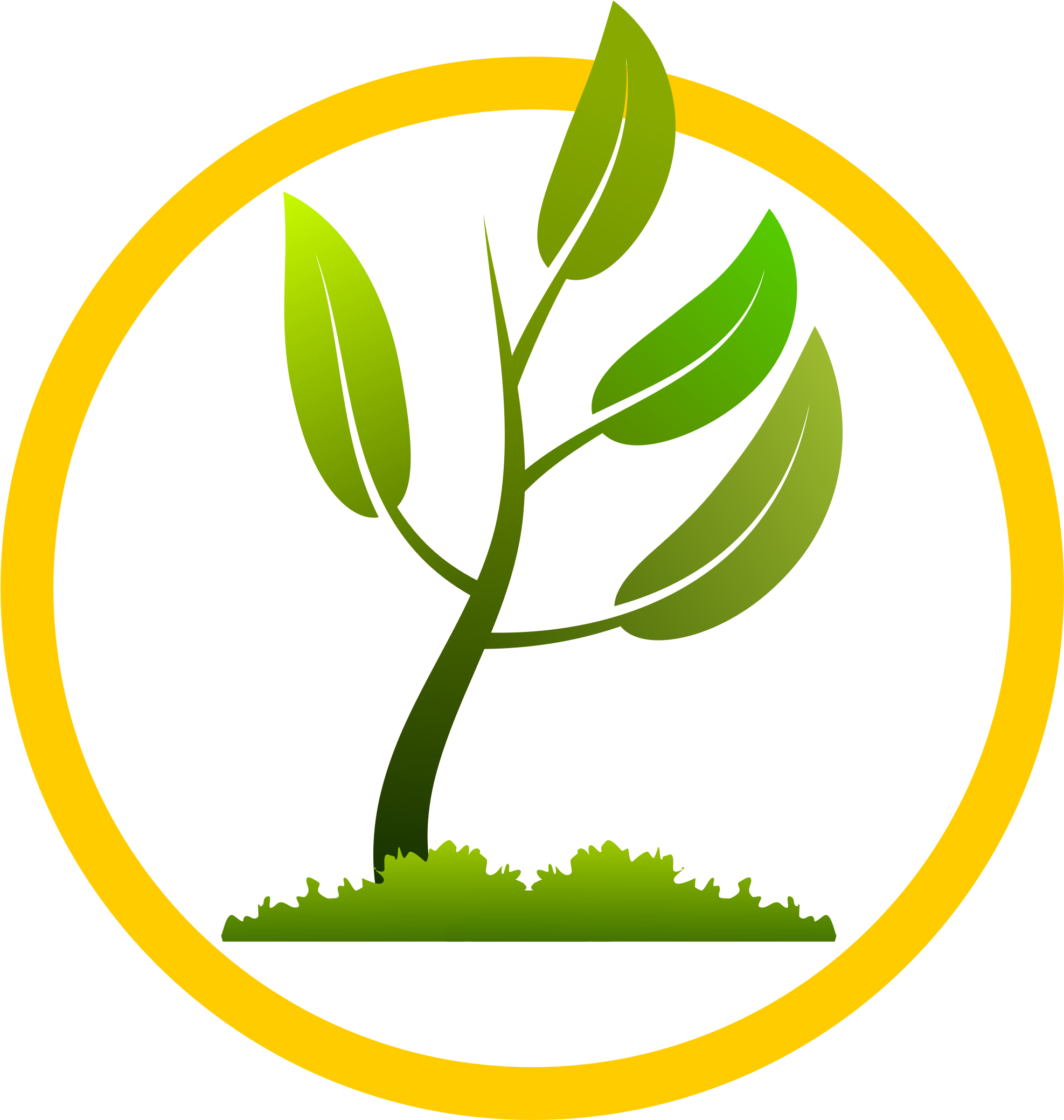 Image Black And White Big Image Png - Leaf Growing Png (2400x2400), Png Download