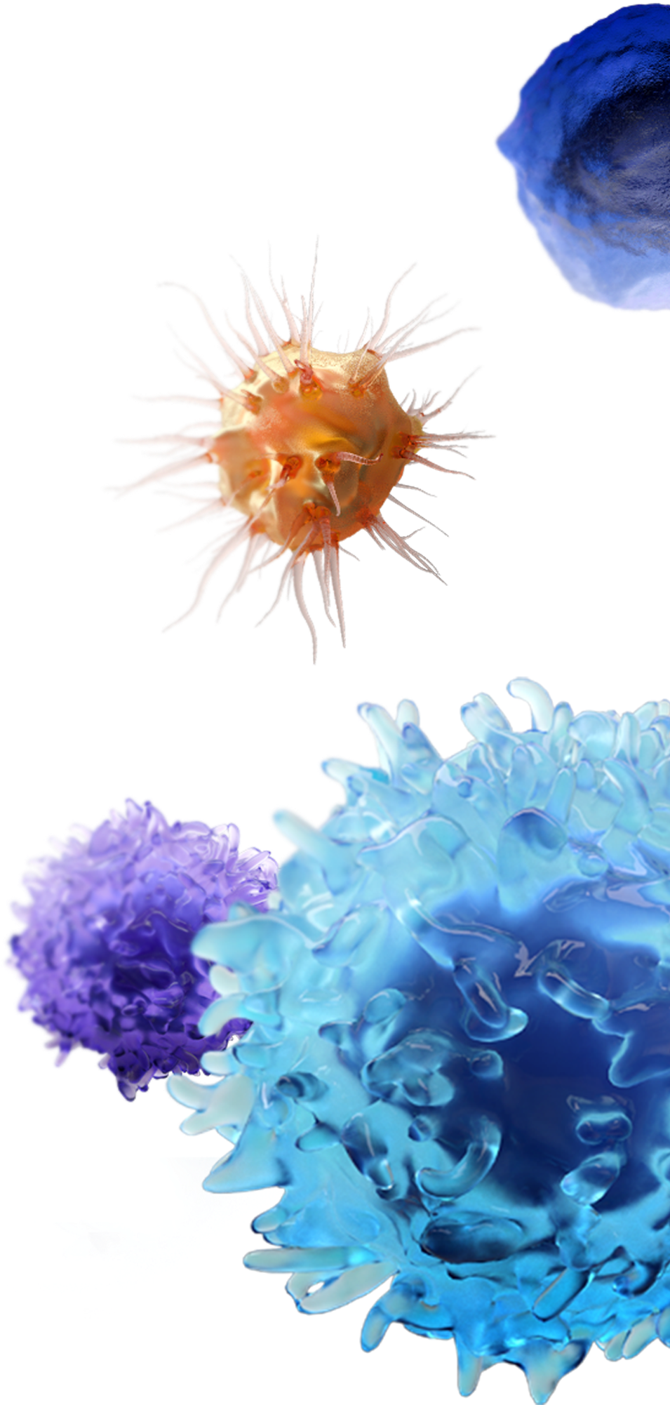 Molecules - Molecule (1024x2039), Png Download