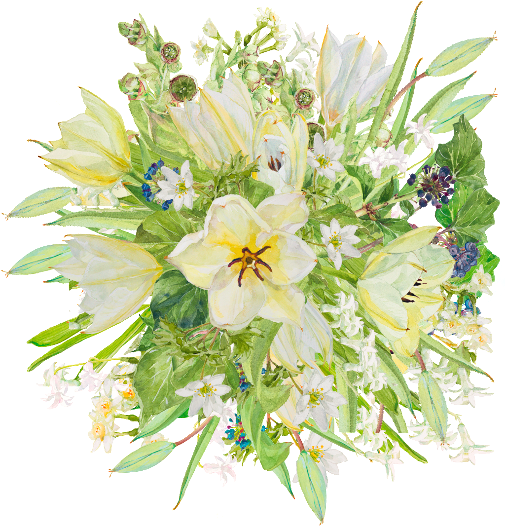 Teacher S Day Bouquet Decoration Transparent - Grün Und Blumen-postkarte Postkarte (1024x1074), Png Download