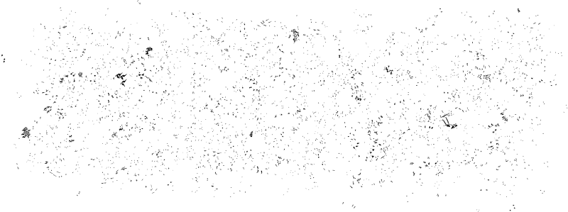 Portable Network Graphics (800x299), Png Download