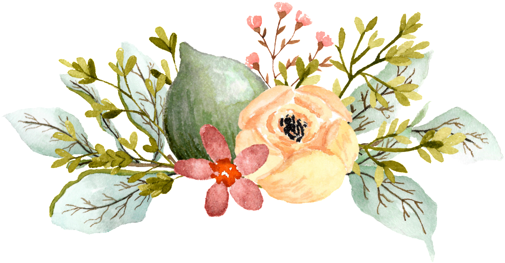 Acuarela Pintada A Mano De Dibujos Animados Elegante - Watercolor Elegant Flowers Png (1024x564), Png Download