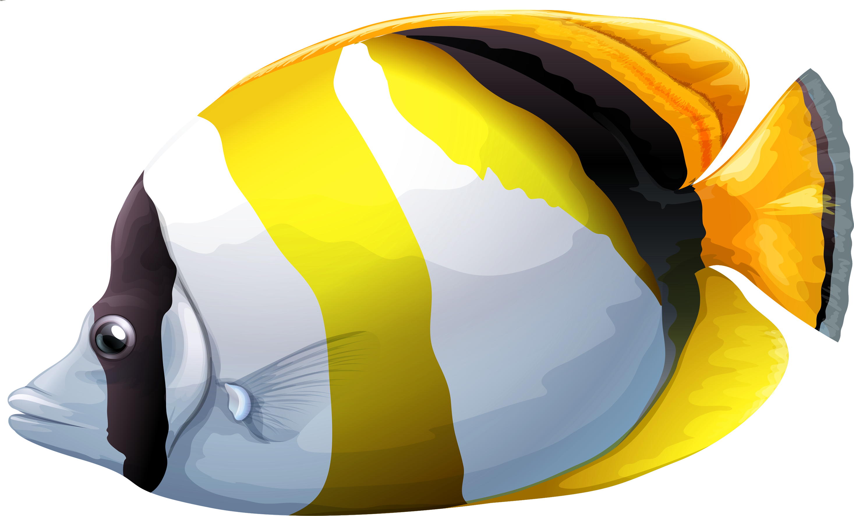 Tropical Tree Clipart Png - Lined Butterfly Fish Png (3000x1874), Png Download
