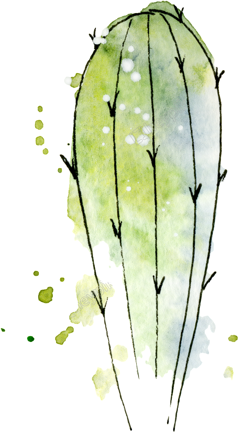 Green Watercolor Hand (1024x1492), Png Download
