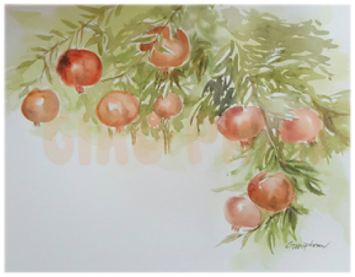 Rose Hip (500x500), Png Download