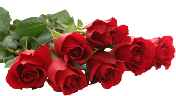 Beautiful Red Rose Png, Beautiful Rose, Red Rose, Red - Crochet Jewelry, Beaded Necklace, Hand Crocheted Lariat (640x640), Png Download