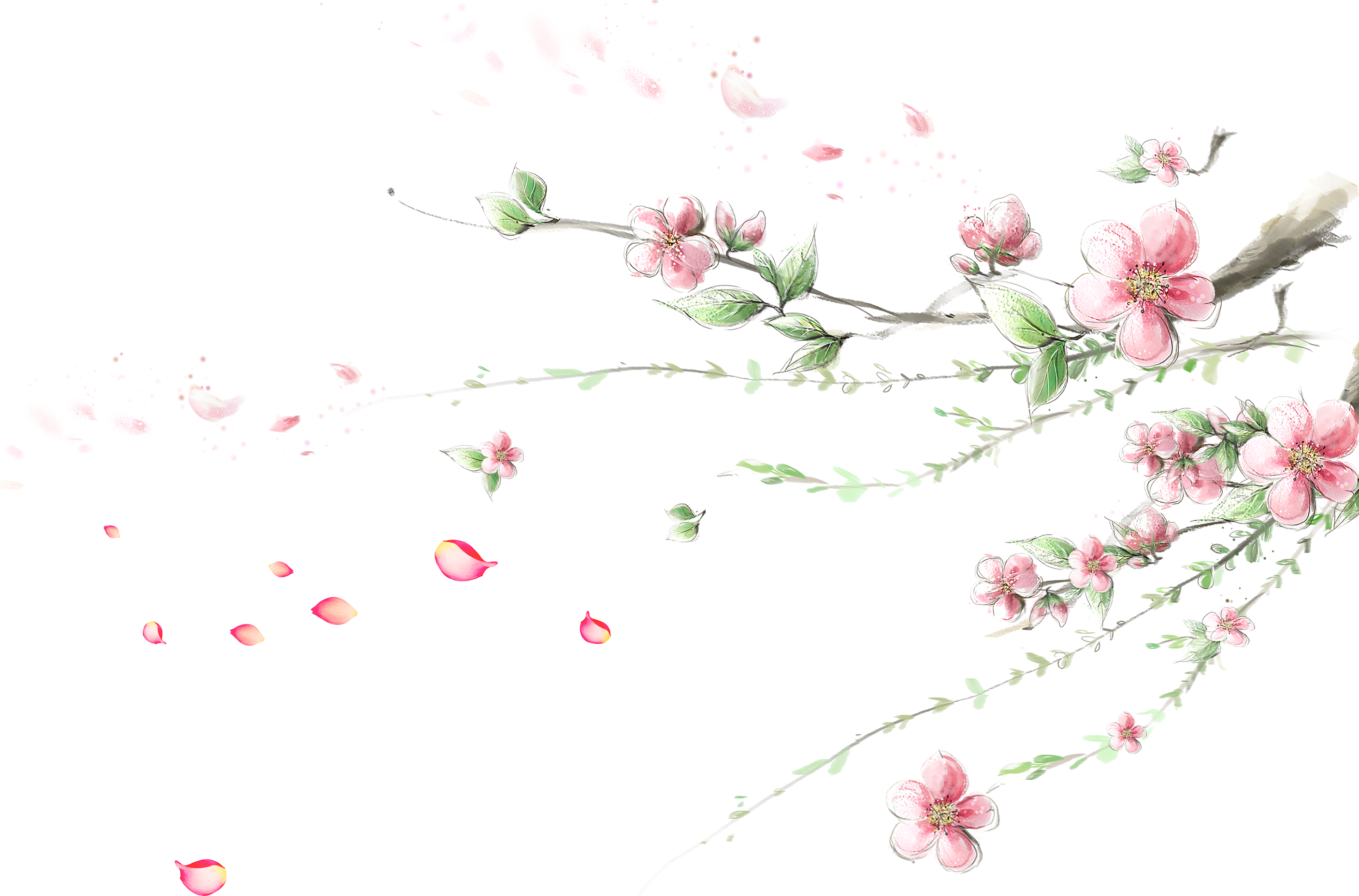 Cherry - Plum Blossom 4k Branches (2811x2196), Png Download