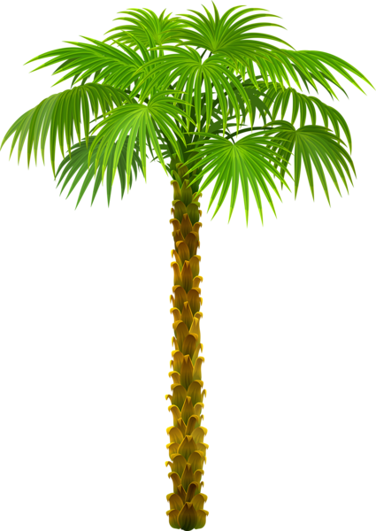 0, - Trees On Beach Png (425x600), Png Download