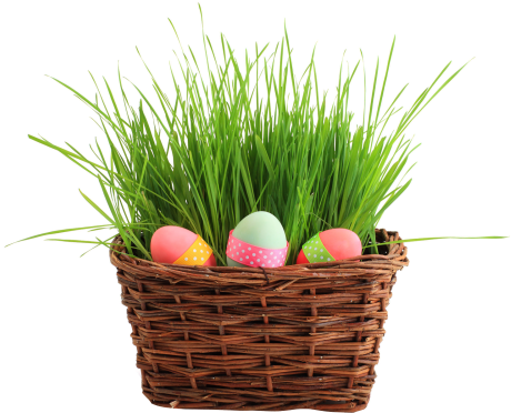Easter Egg Basket Png Transparent Image - Happy Belated Birthday Kay (500x407), Png Download