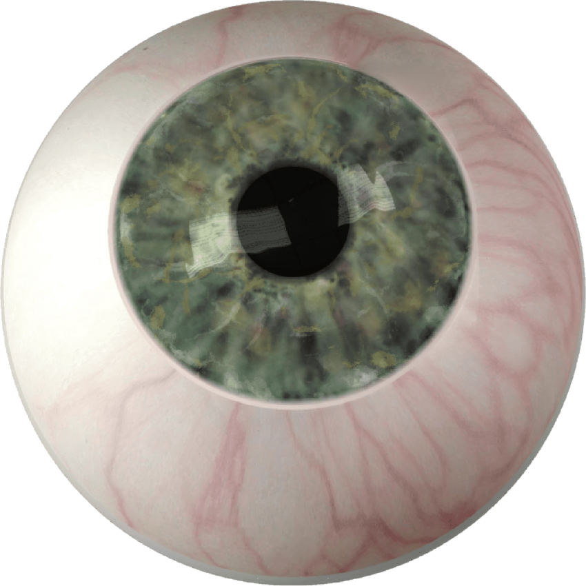 Free Png Eyes Png Images Transparent - Iris Eye (850x850), Png Download