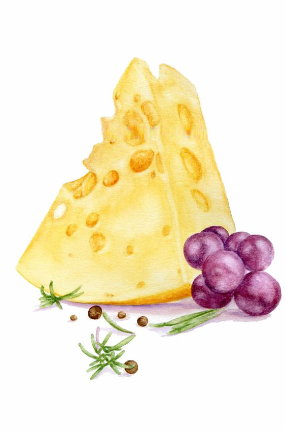 Cheese Watercolor Png - Cheese Watercolor Paintings (564x849), Png Download