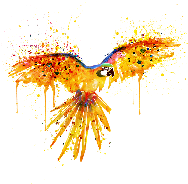 Bleed Area May Not Be Visible - Parrot Watercolor Flying (600x600), Png Download
