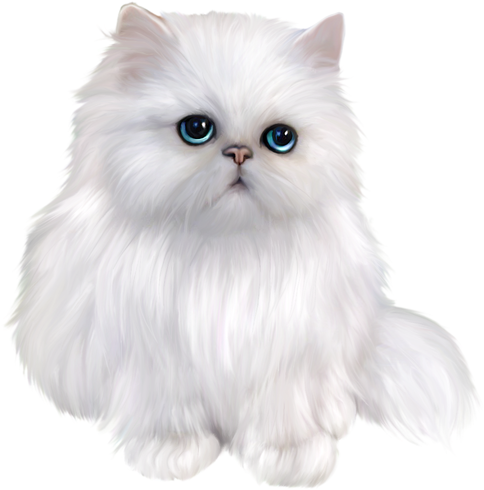 Kitten Clipart Gray Cat - Persian Cat Png (1009x1005), Png Download