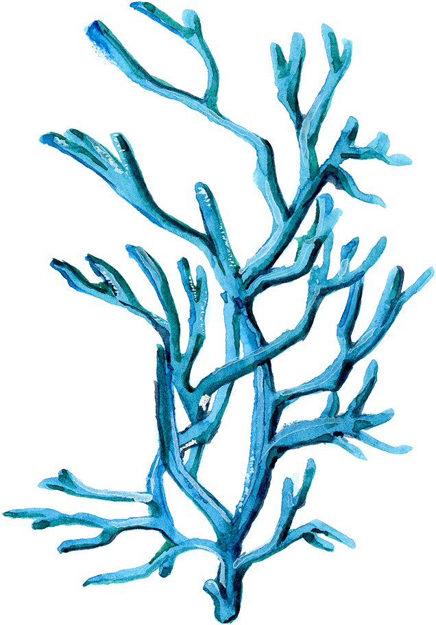 H253 - Design (2400x2400), Png Download