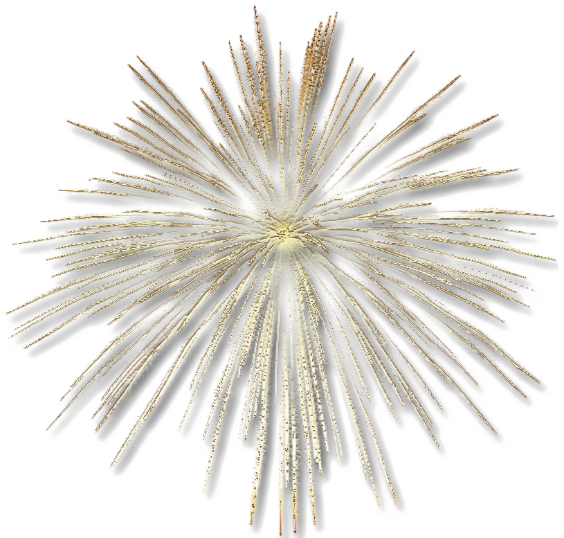 Fireworks Png Transparent Image - Gold Fireworks Transparent Background (815x777), Png Download