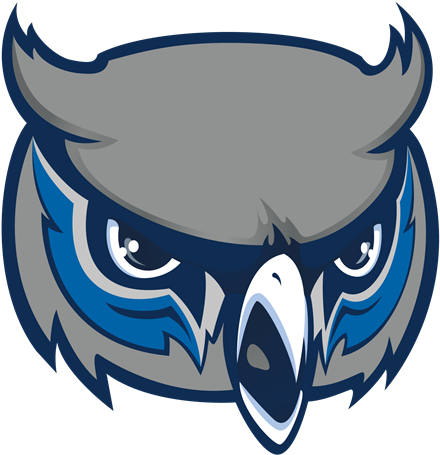 Instagram - Olathe West Owl Volleyball (500x500), Png Download