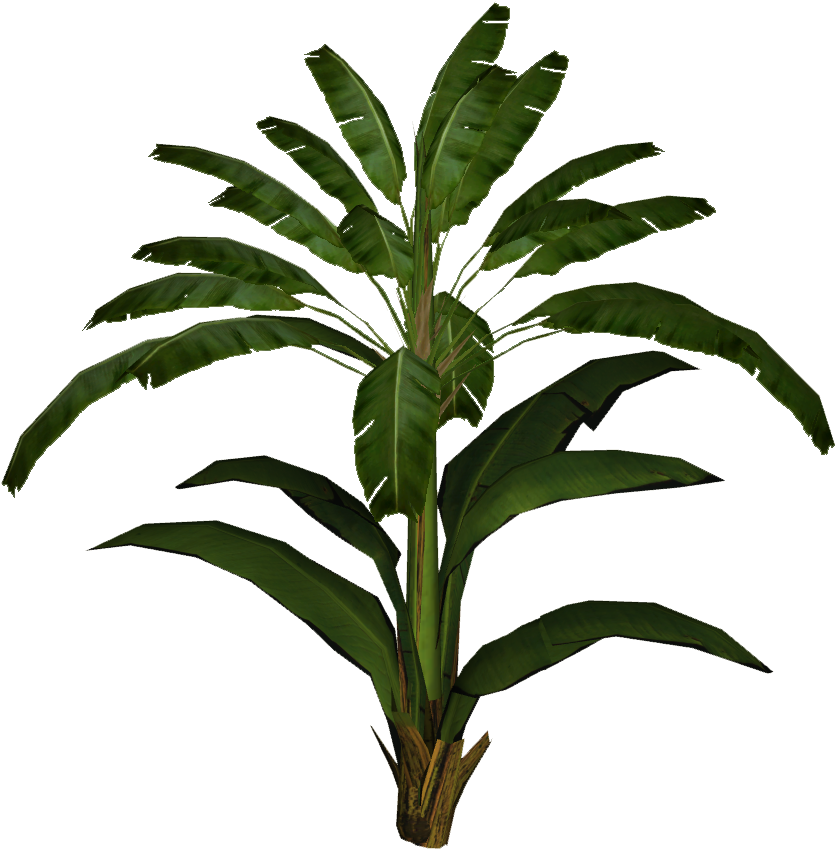 Banana Leaf Palm - Banana Leaf Plant Png (848x848), Png Download