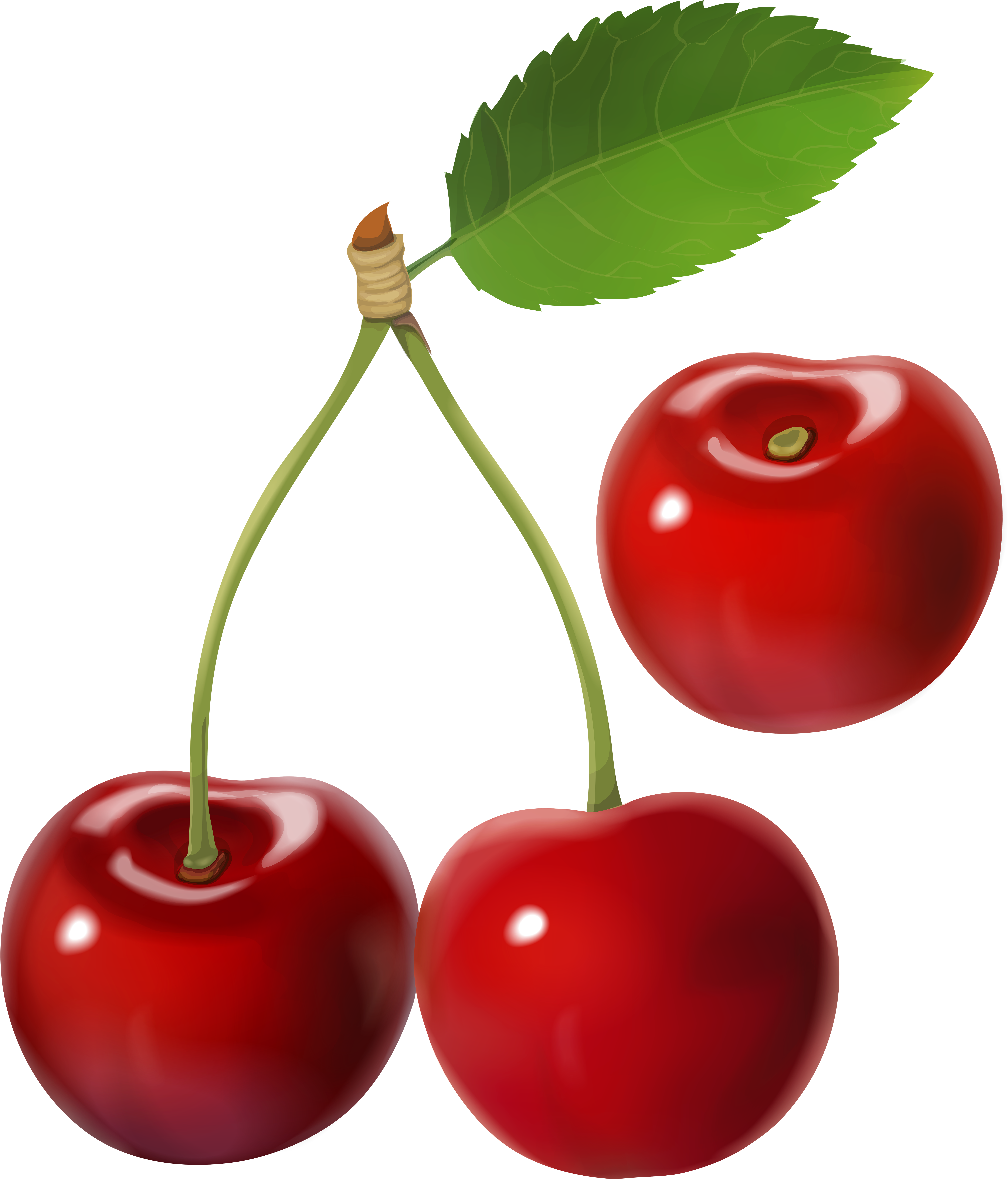 Cherry Png (6854x8000), Png Download