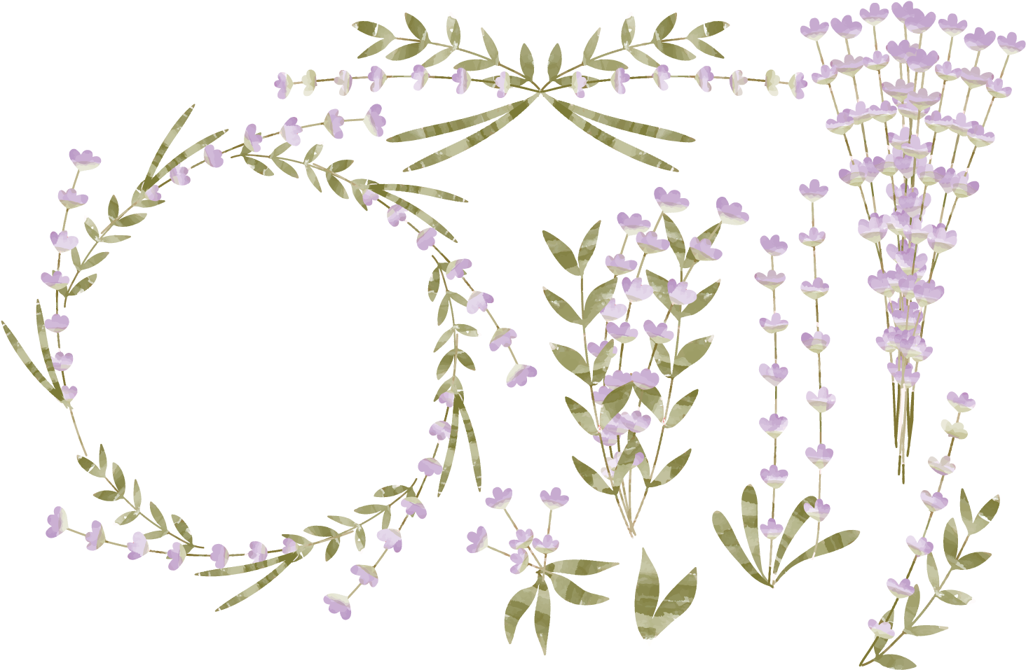Watercolor Lavender Png - Png Flower Leaf Lavender (1714x1242), Png Download