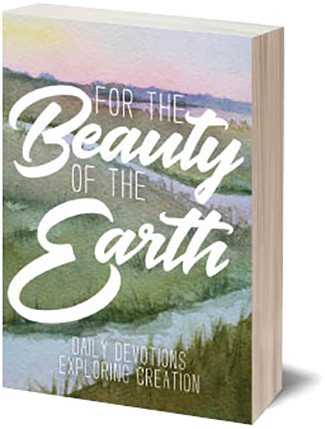 Beauty Of The Earth: Daily Devotions Explori - Trade (325x429), Png Download