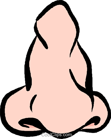 Human Nose Royalty Free Vector Clip Art Illustration - Nose Clip Art (382x480), Png Download