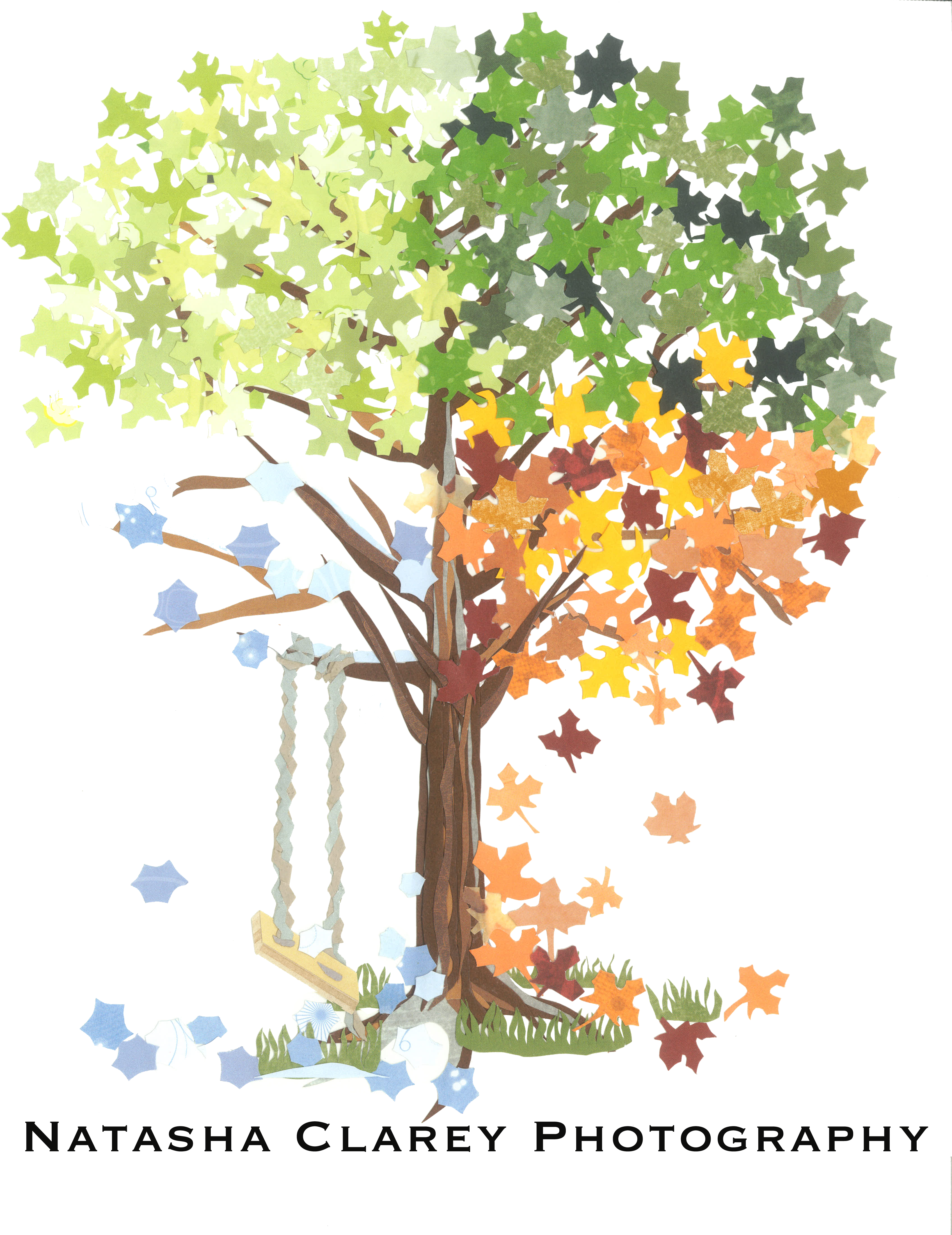 Plane-tree Family (3392x4400), Png Download