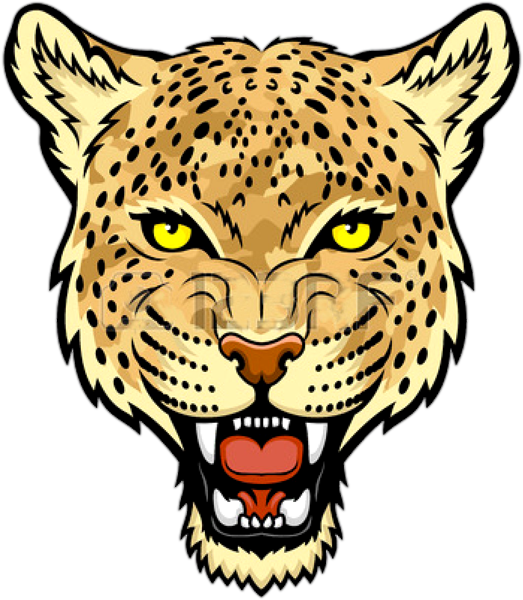 Jaguar Face Transparent Picture - Leopard Face Clip Art (1350x1350), Png Download