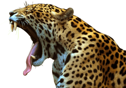 Jaguar Roar - Jaguar Transparent (400x400), Png Download