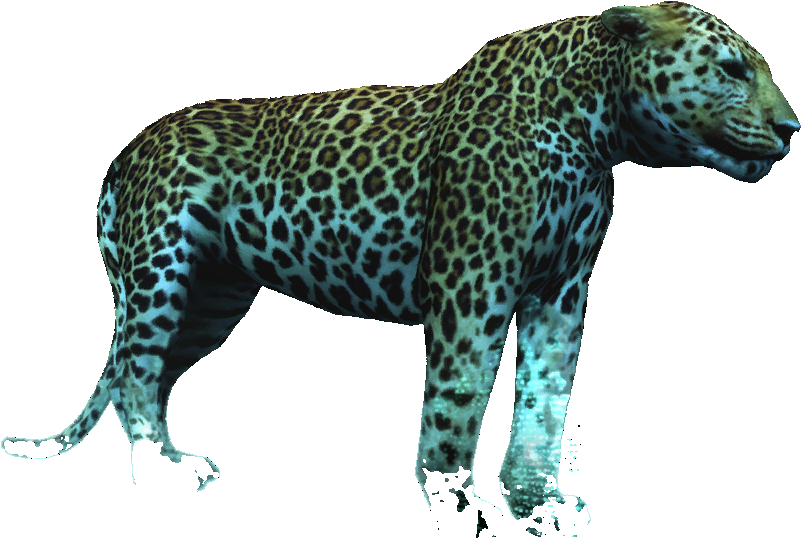 Ac4db - Jaguar - Jaguar (1024x756), Png Download
