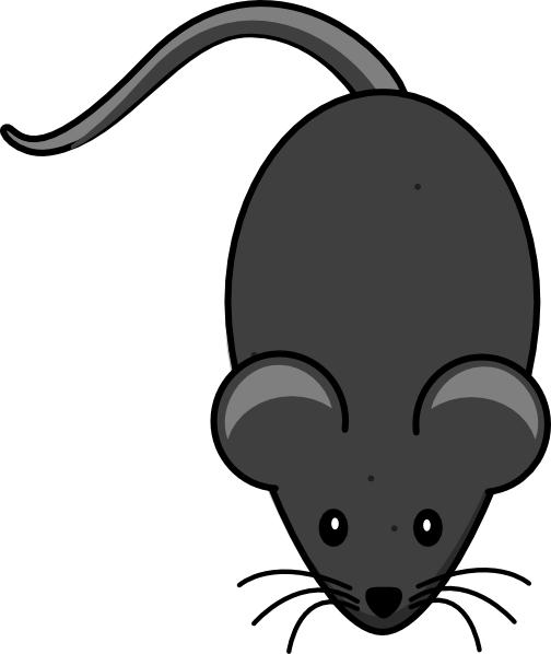Clipart Png Mouse - Mouse Tail Clipart (504x598), Png Download