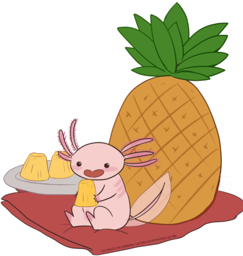 Tumblr Pineapple Png - Png Tumblr Pineapple (500x529), Png Download