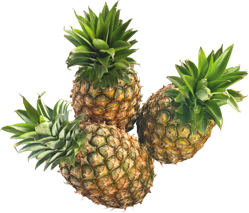 78d533d7bce4 - 菠蘿 鳳梨 (500x429), Png Download