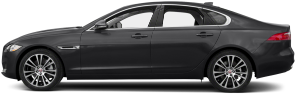 Xf - Copper Color Ford Fusion (640x232), Png Download