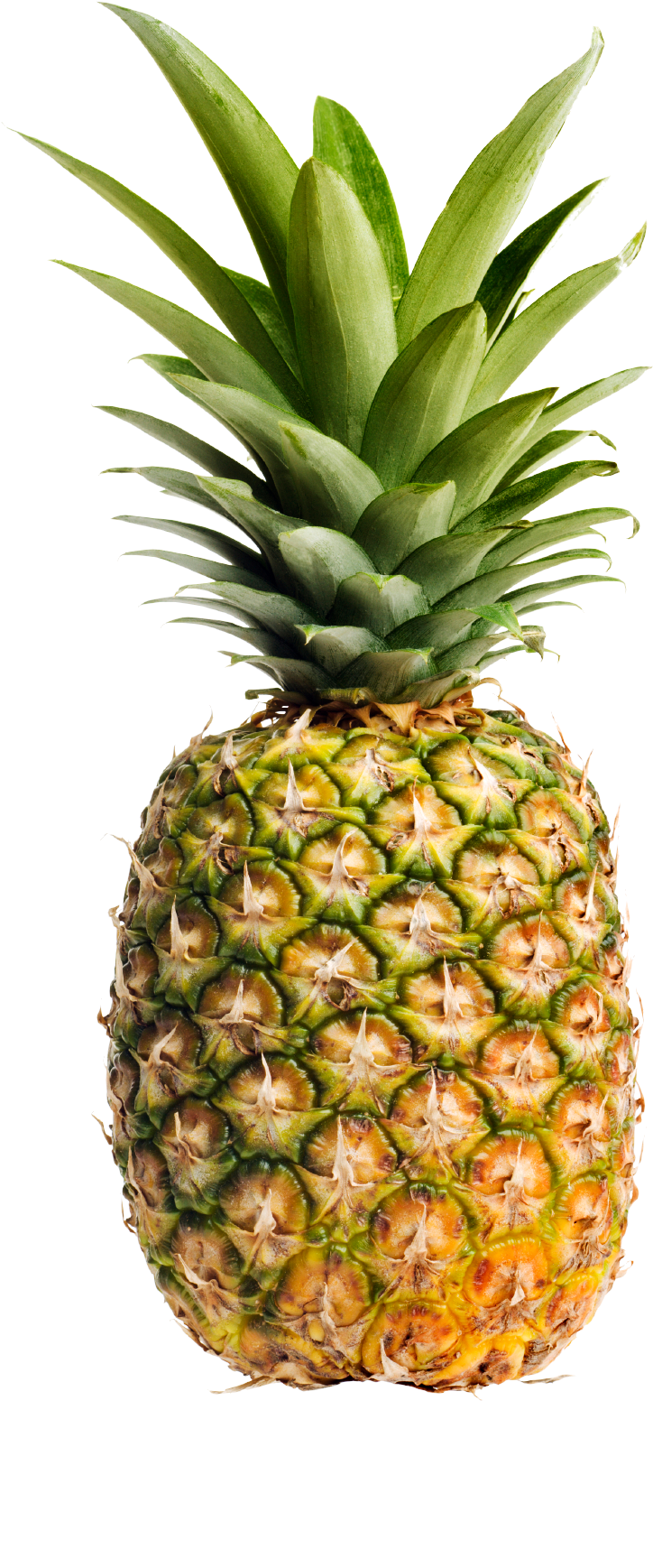 Go To Image - Cafepress Pineapple Iphone 6 Tough Case (1132x1784), Png Download