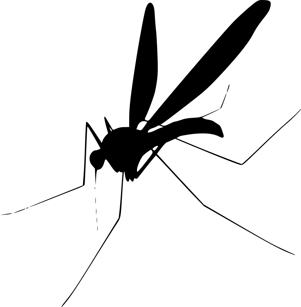 Mosquito Comments - Mosquito Png (960x980), Png Download