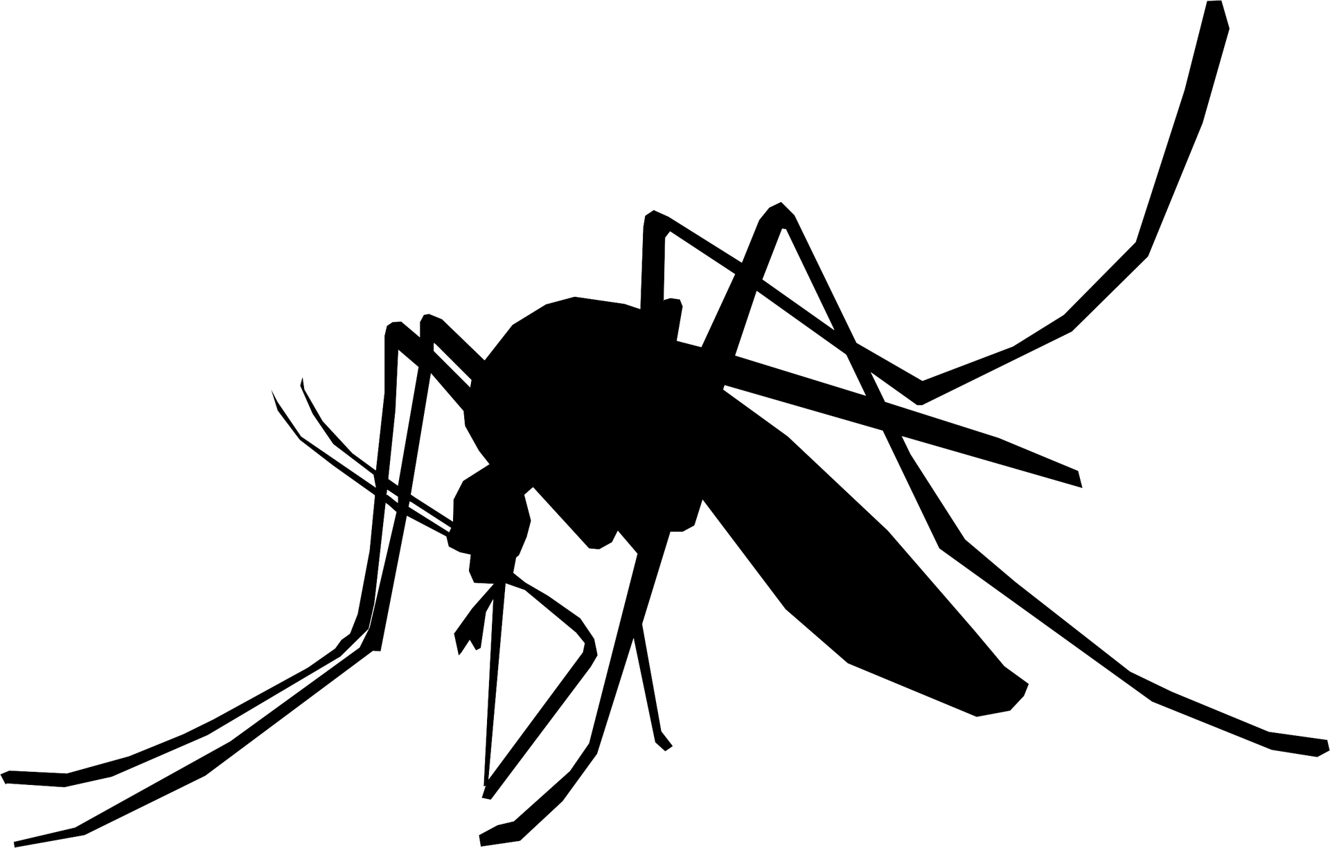 Download Png - Mosquito Black And White Png (1024x653), Png Download